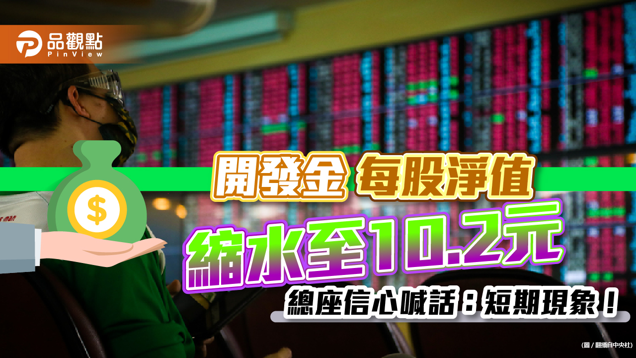 開發金每股淨值降至10.2元!總經理龐德明:短期現象 長期穩定|財經