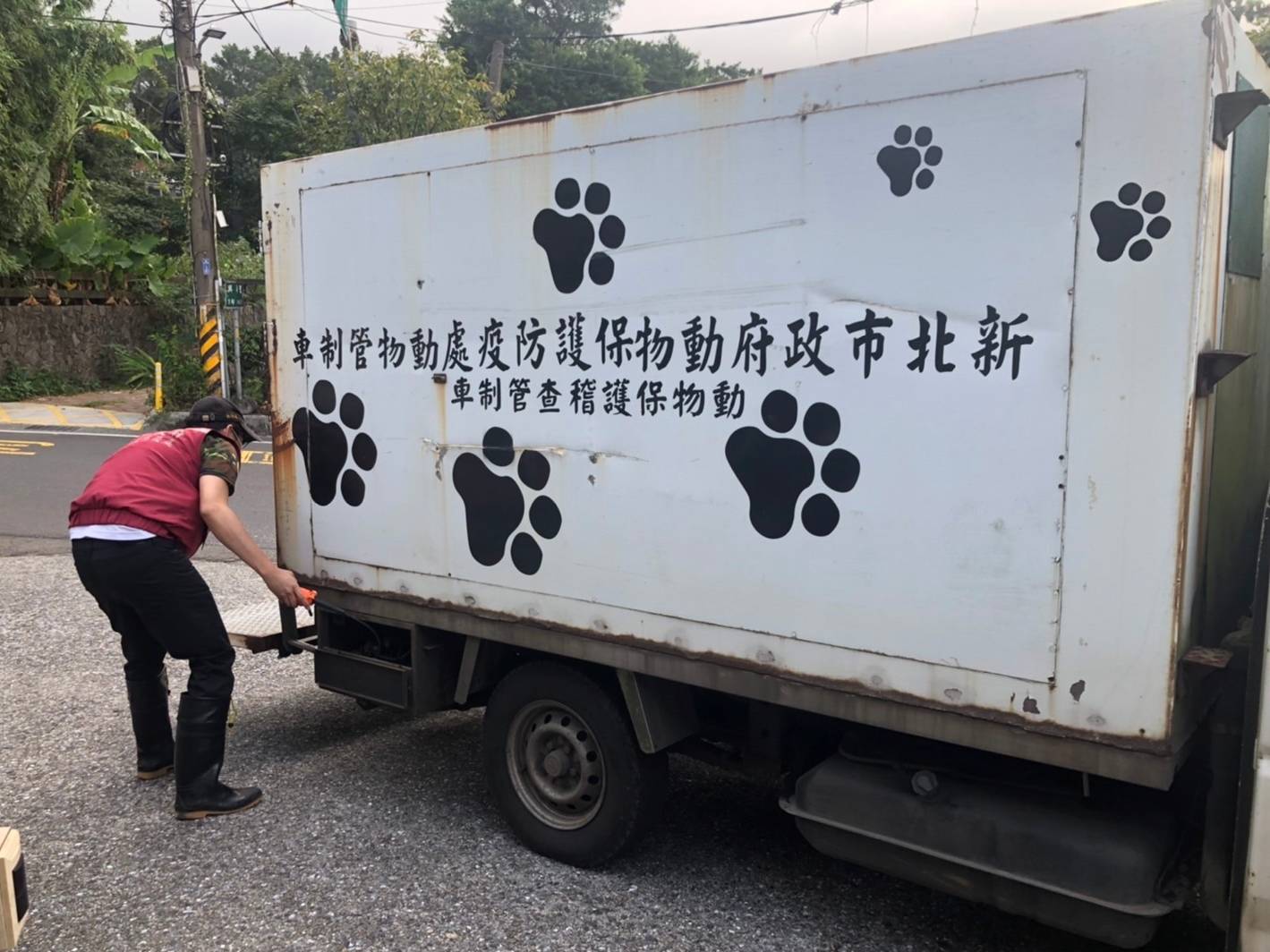 「食蛇龜」迷途馬路險遭輾 警民合力救援安置