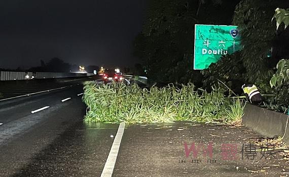 快速道路路樹倒塌　警冒雨緊急排除路樹