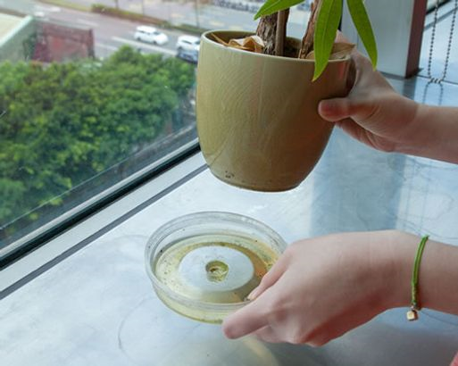 防蚊藝k (1).jpg