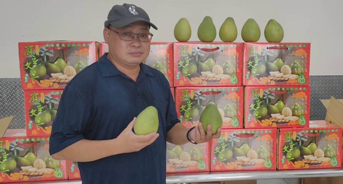 高市貿易商助柚農度難關     對折內銷讓國人嚐「甜頭」