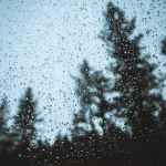 rain droplets on glass