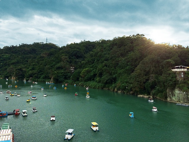 xiaobitan-gcf995d523_640.jpg