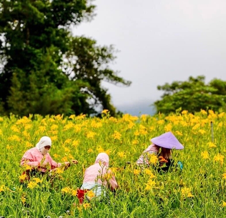 百吉休閒農場 (1).jpg