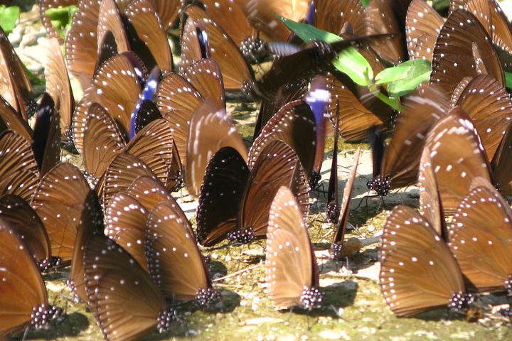 新竹夏季旅展逛茂管處展攤 遊東高雄消費滿百抽好禮