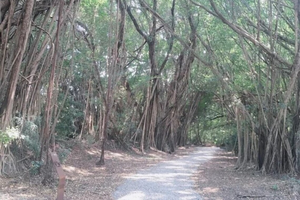 台南獲城鄉魅力11大獎全台最多