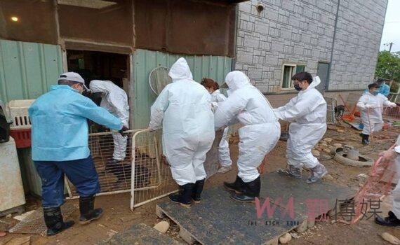 桃園某狗園涉不當飼養 動保處累計裁罰29萬負責人移桃檢