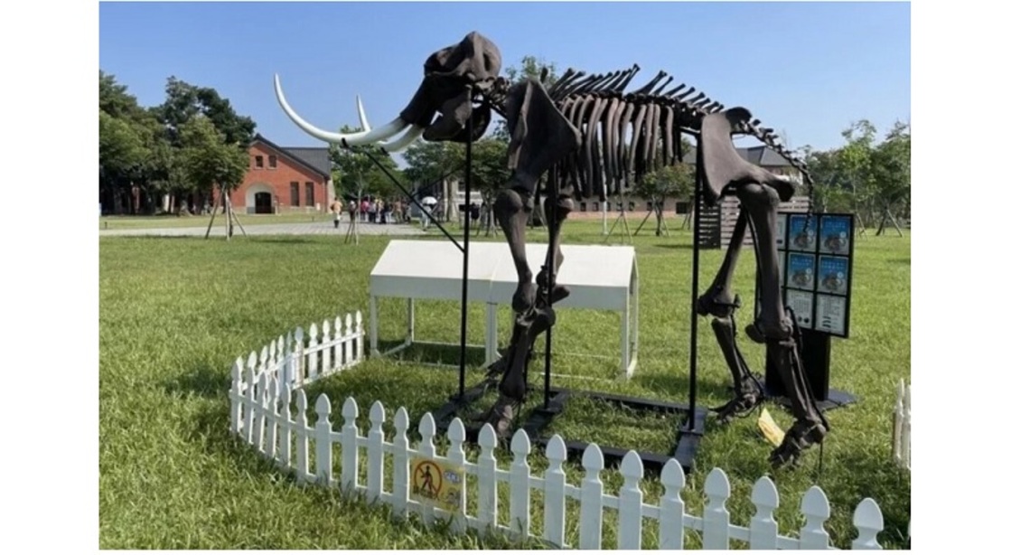 台南山上博物館展長毛象標本