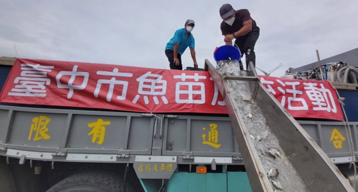 共同推廣海洋環境意識 中市府放流魚苗增漁業資源
