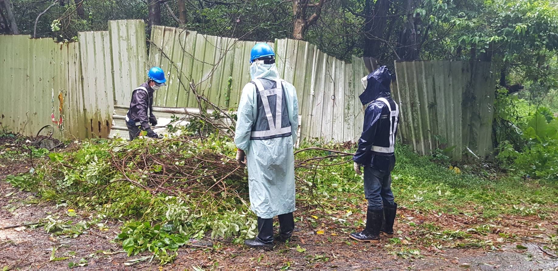 「軒嵐諾」風強雨大路樹塌 林口警冒雨交管疏導