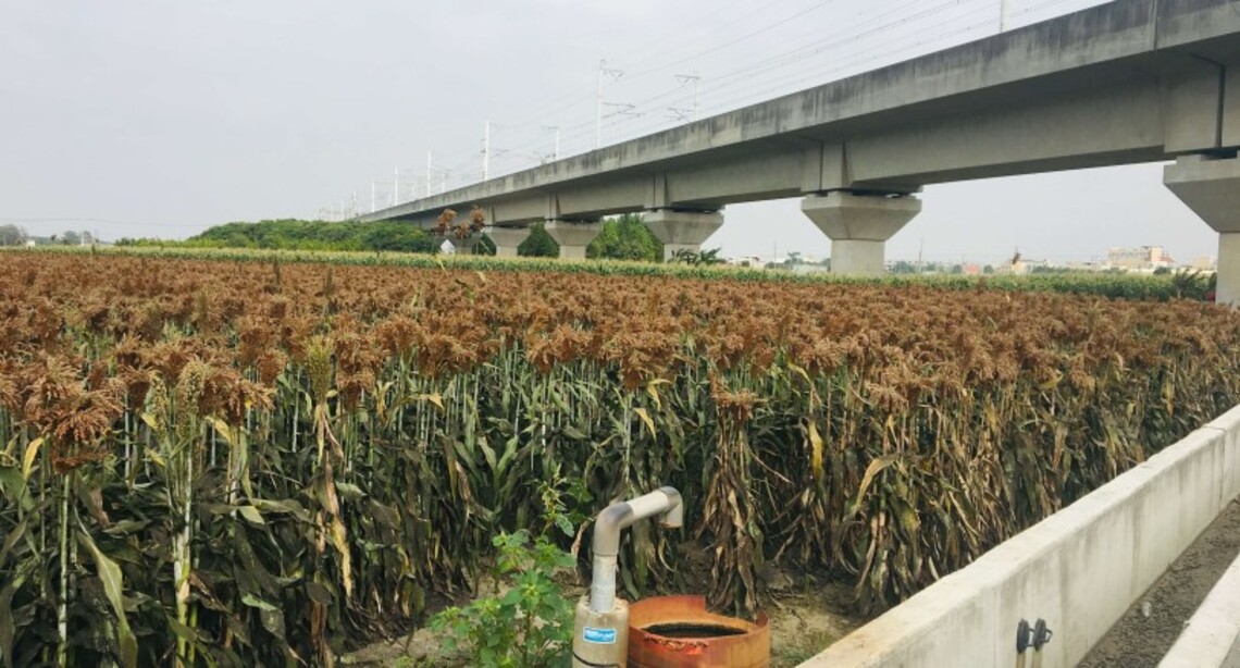 雲林縣府積極爭取高鐵沿線(黃金廊道)再次推動轉旱作節水措施 獲農委會同意