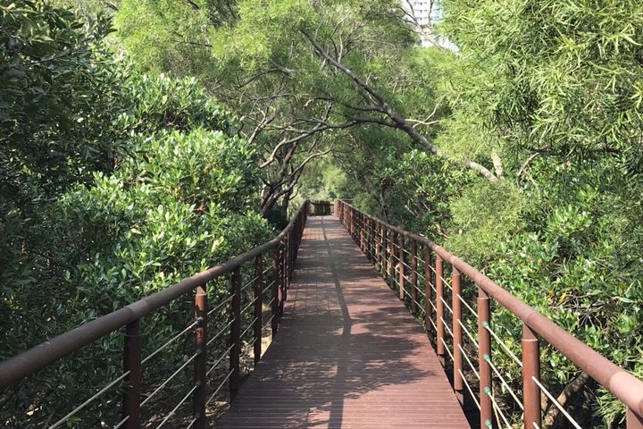 中秋連假/說走就走!新北漫遊路線玩起來