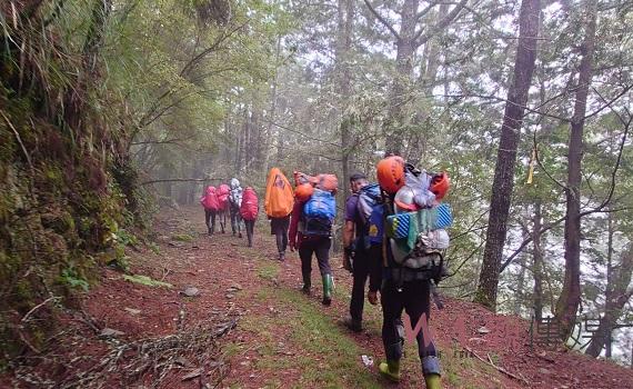 南投縣信義鄉南三段郡大林道山域事故