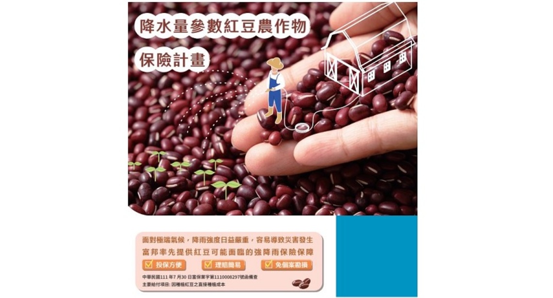 全台唯一 屏東縣紅豆農作物保險開賣