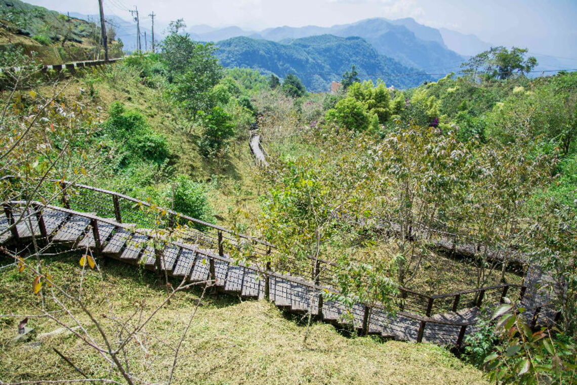 中秋連假親山去 嘉義低難度步道推薦 感受嘉義的山之美