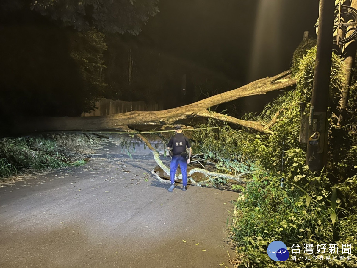 午後豪雨造成土石鬆動路樹倒塌，龍警交管及排除道路障礙。