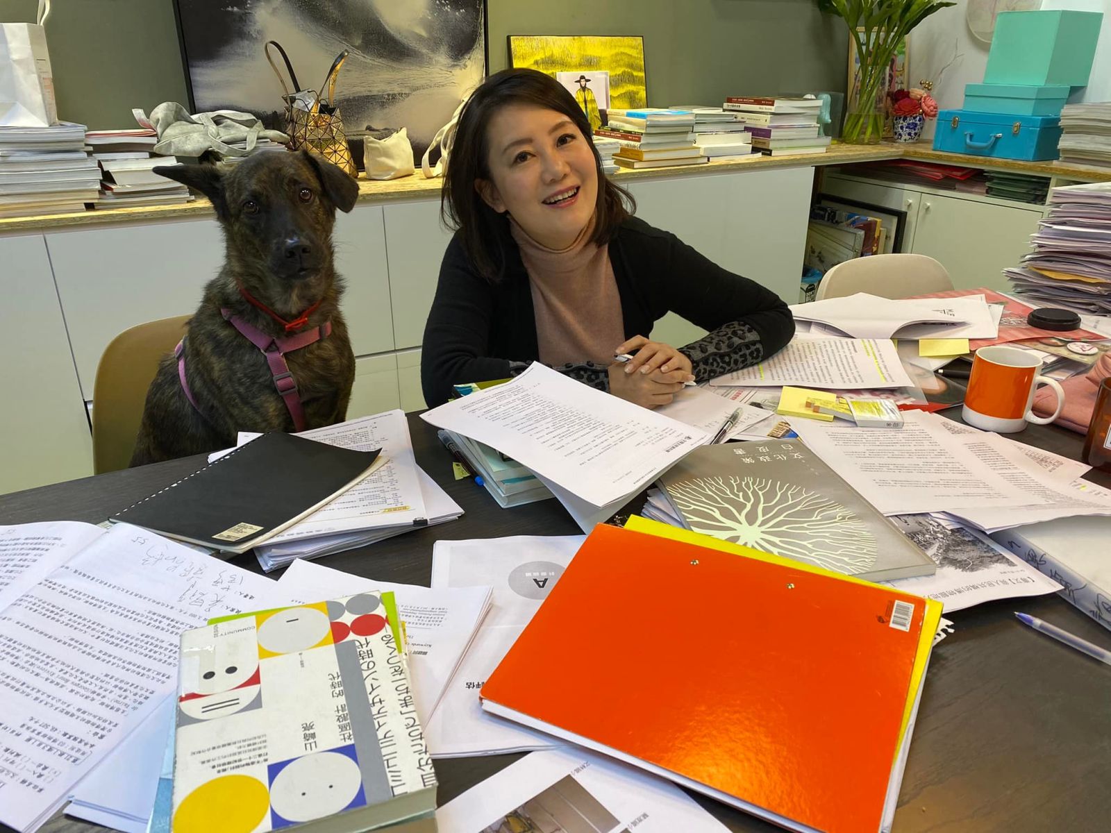 吳思瑤認養的米克斯犬ZAZA是第一隻進駐立院的狗狗。翻攝吳思瑤臉書