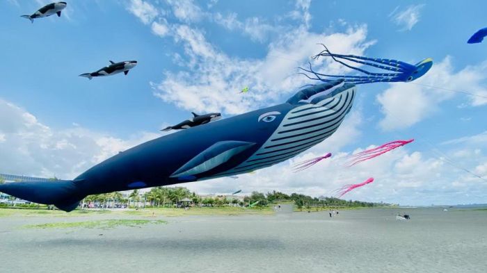 竹市國際風箏節9/17登場 16米鯨魚、夜光海豚風箏首度在台亮相