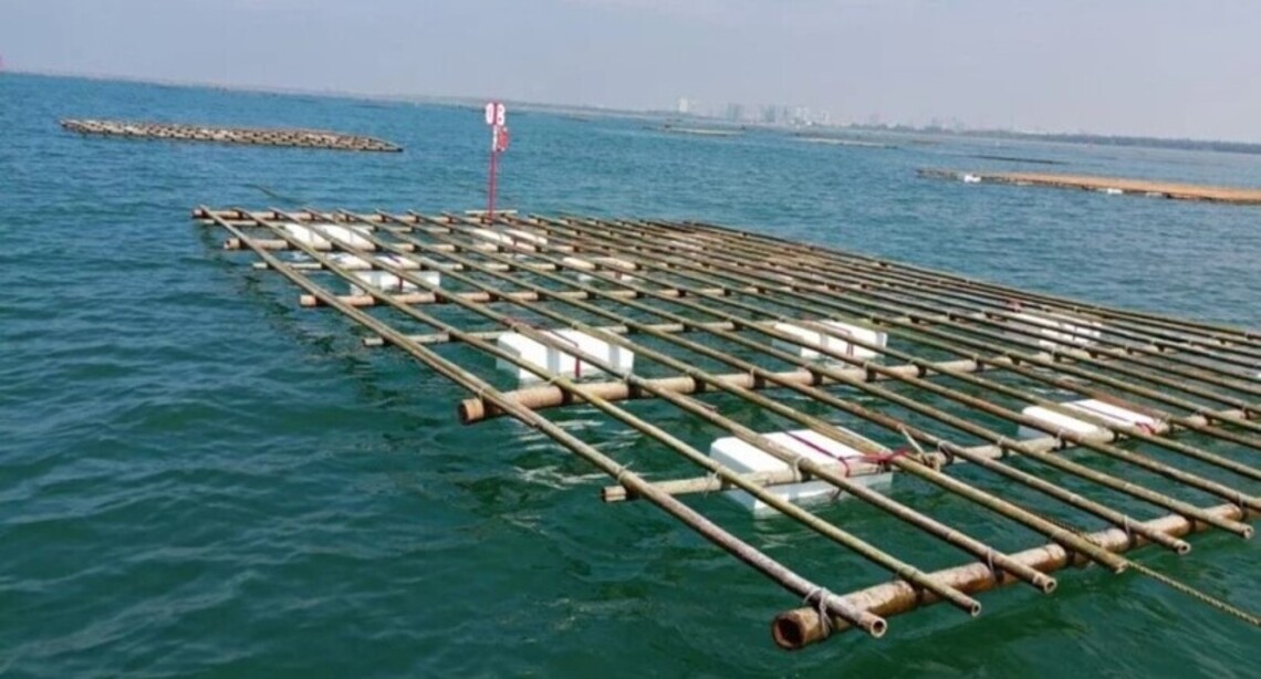 台南補助推廣新式蚵架