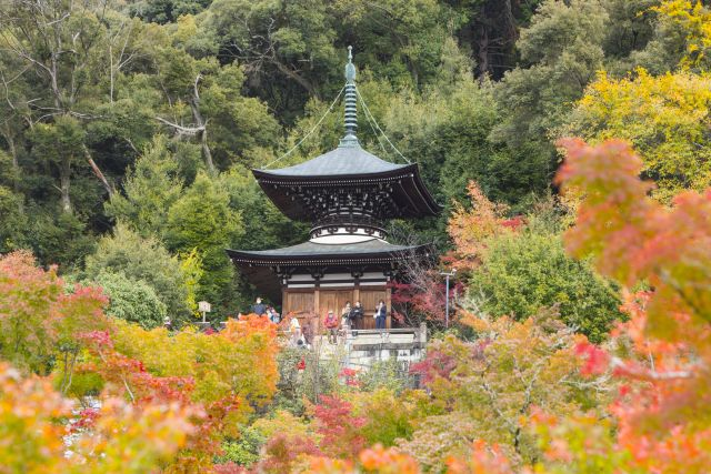 ©JNTO (2).jpg