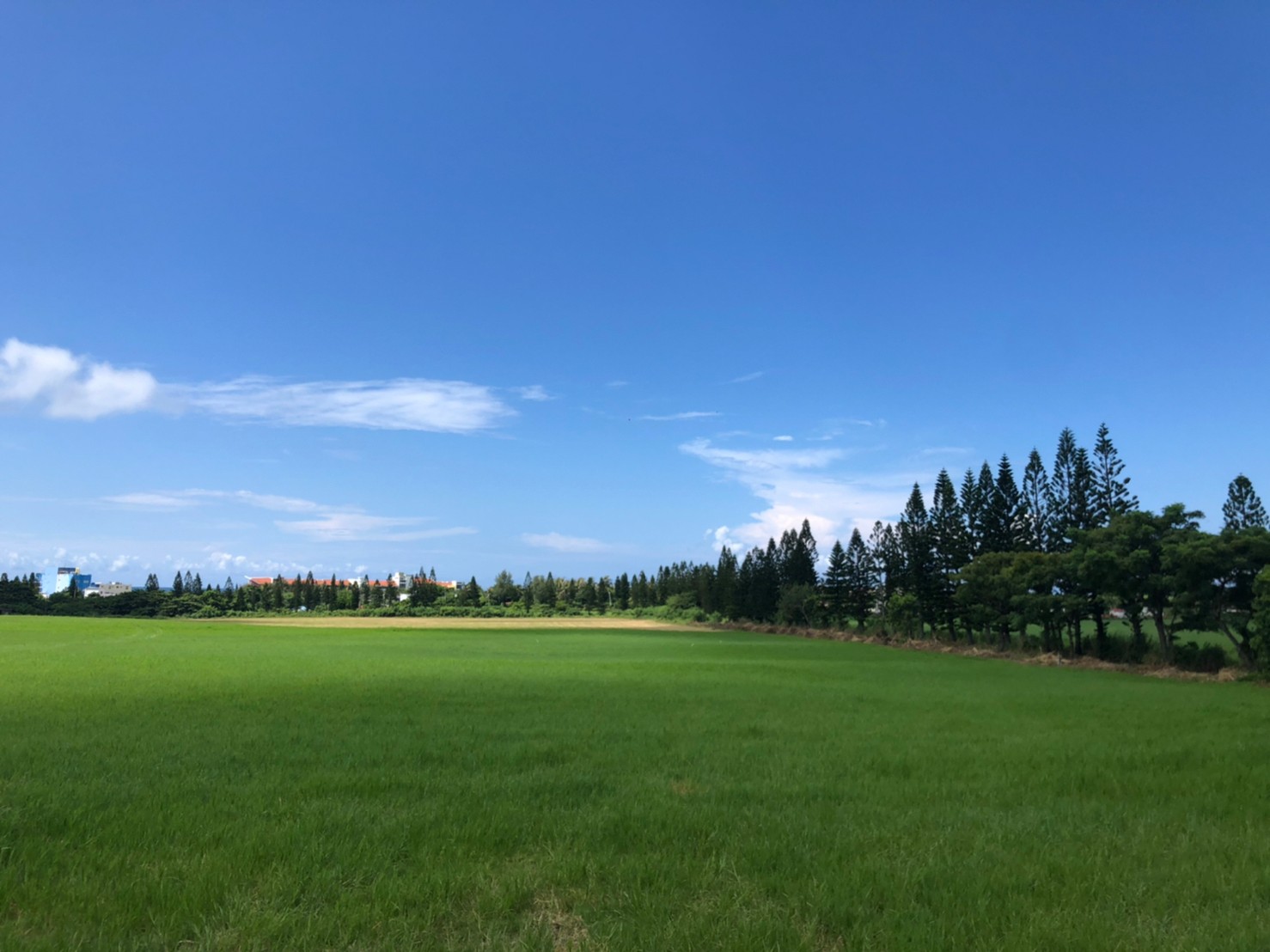 轉進大溪巷,你將能感受「風吹草低見牛羊」之景(圖片來源:LAVA台灣鐵人三項公司)