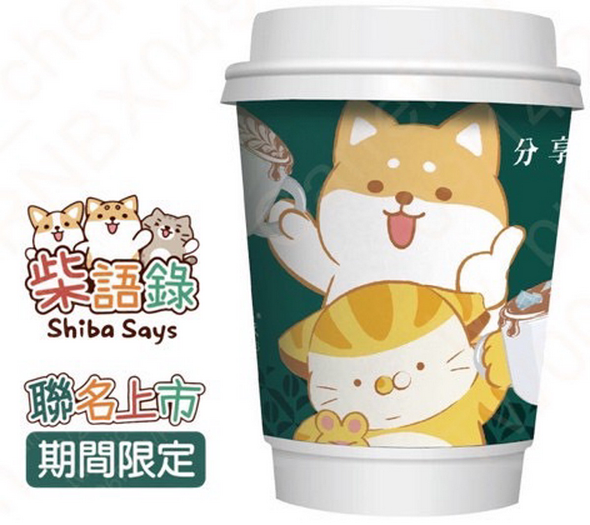 卡哇伊柴語錄聯名咖啡杯