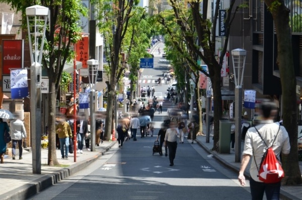 江戶、巷弄、在地日料!飛往神樂坂來場迷路日本行