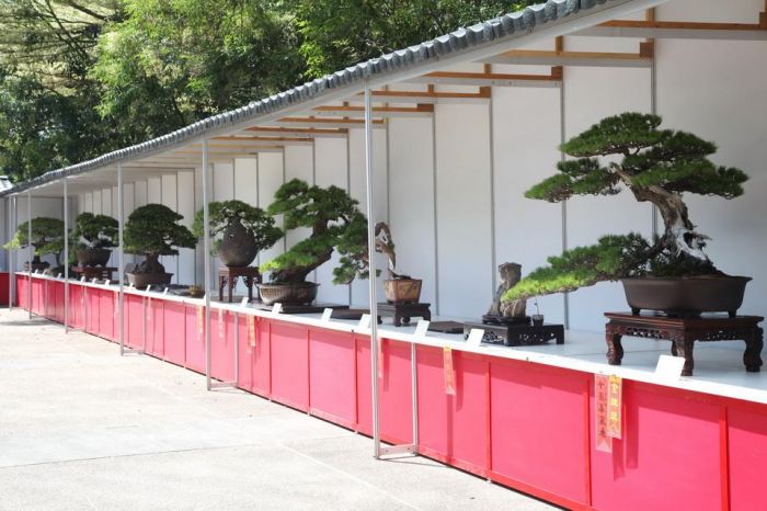2022年南投樹石大展 埔里國際花卉物流中心開展