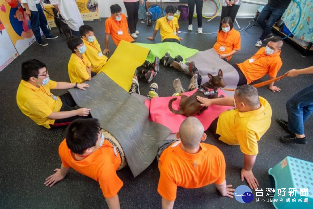 心輔犬多為經過專業訓練的流浪狗,能與自閉症學員互動、遊戲,讓他們放鬆情緒,感受同理心與存在感。