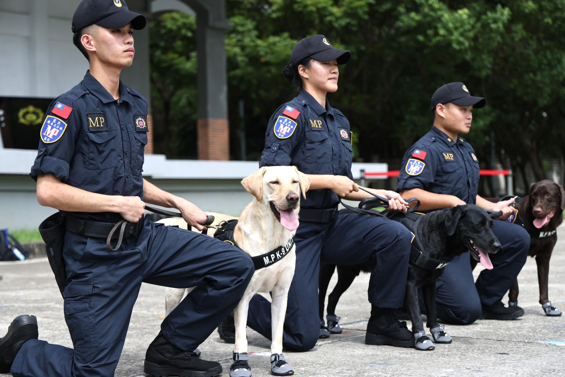 憲兵指揮部今天展示緝毒犬實地操演,展現國軍對毒品零容忍決心。林啟弘攝