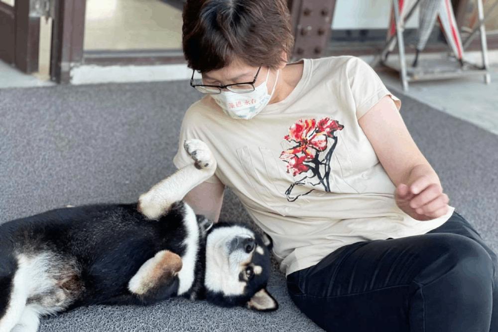 有影/【蔡壁如專訪4-4】護理師蛻變為立委 樂在工作盼成政治家 49 4 4蔡壁如愛護動物/照片:蔡壁如臉書