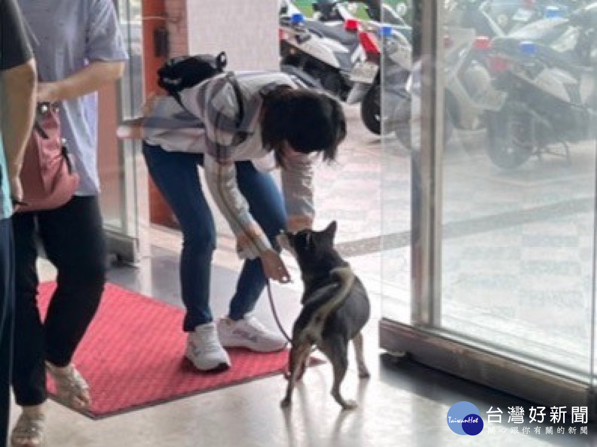 黑柴蹺家溜達失蹤，飼主情急警方協助找回。