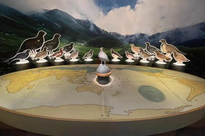 去過立山黑部也可能不知道!隱藏版景點下趟來攻略