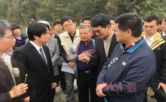 濁水溪百年揚塵治理有成　用甜根子草搖曳取代風飛沙