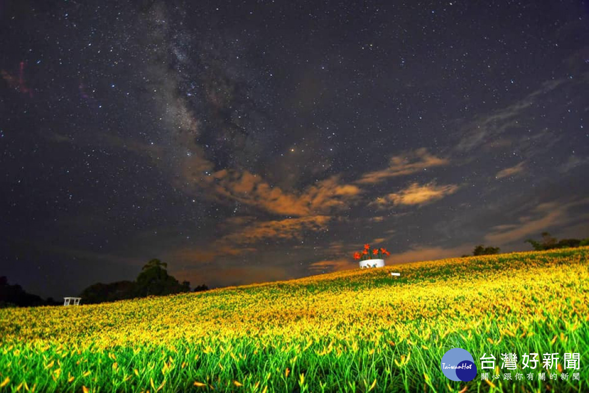 花蓮六十石山及赤科山的金針花季,加上晚間星空夜景別有趣味。(圖/玉溪地區農會)