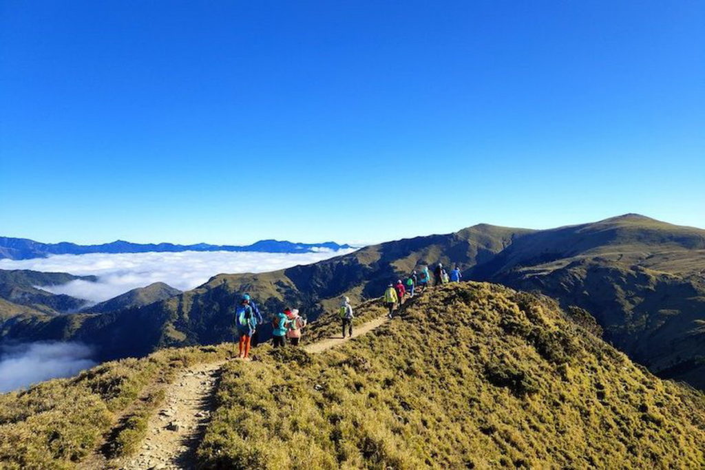 奧丁丁體驗與深耕在地的專業嚮導合作,致力為旅人打造兼具安全與深度體驗的山林旅程