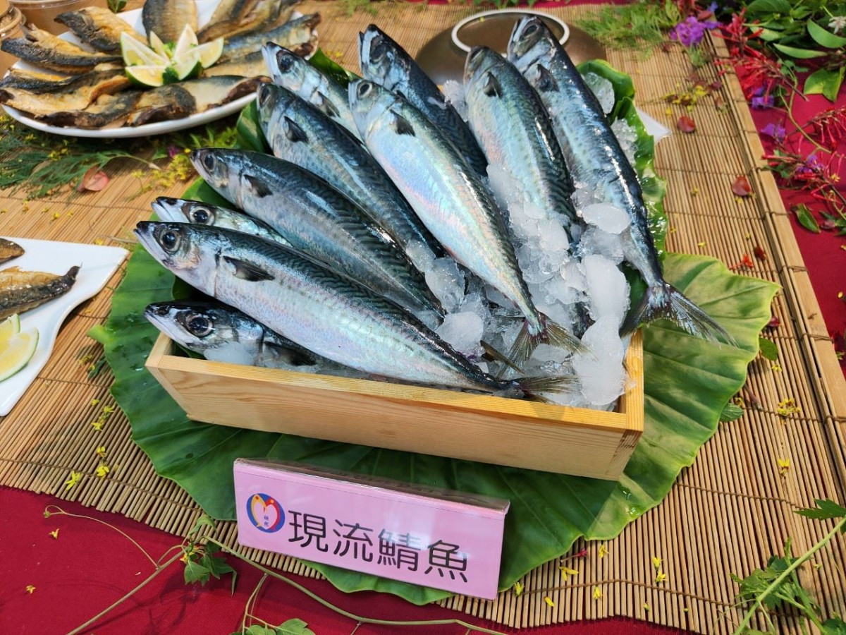 (圖/宜蘭縣海洋及漁業發展所)