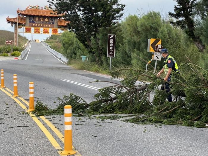 風吹樹倒又一樁 通梁警立即排除道路恢復順暢