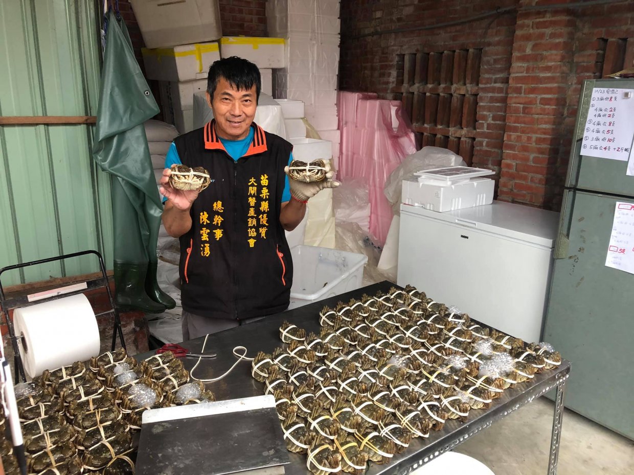 在地養殖的大閘蟹大多採活體冷藏出貨,單純清蒸即可吃到細嫩鮮美的天然風味