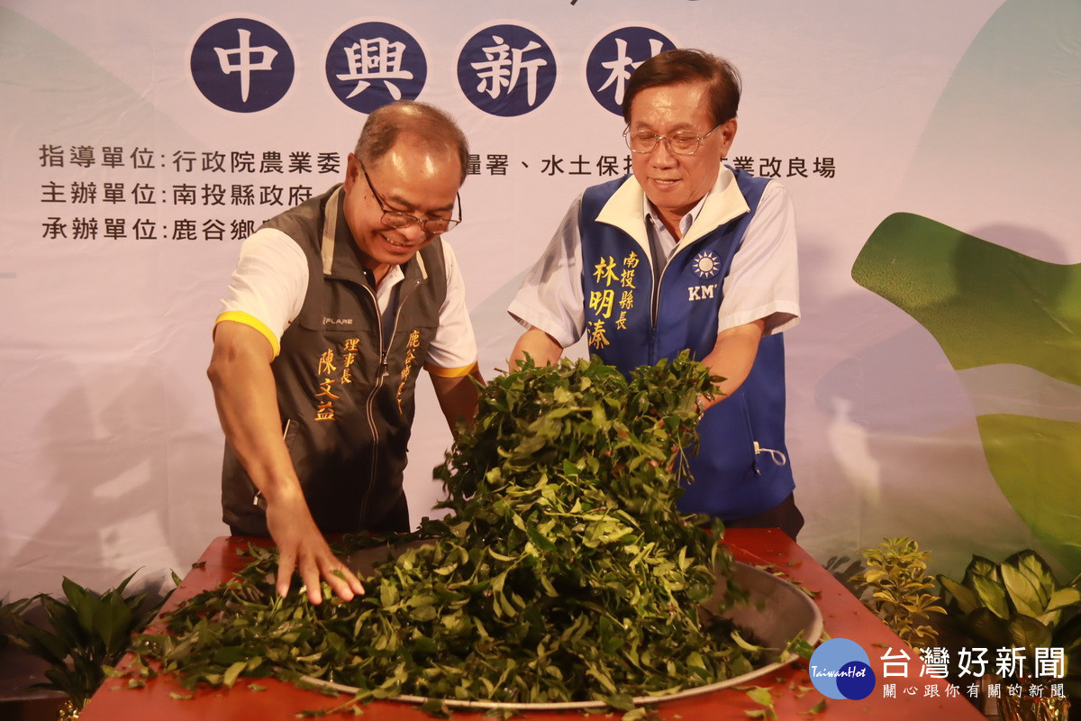 林明溱和陳文益展示古式炒茶的方法。(記者扶小萍攝)