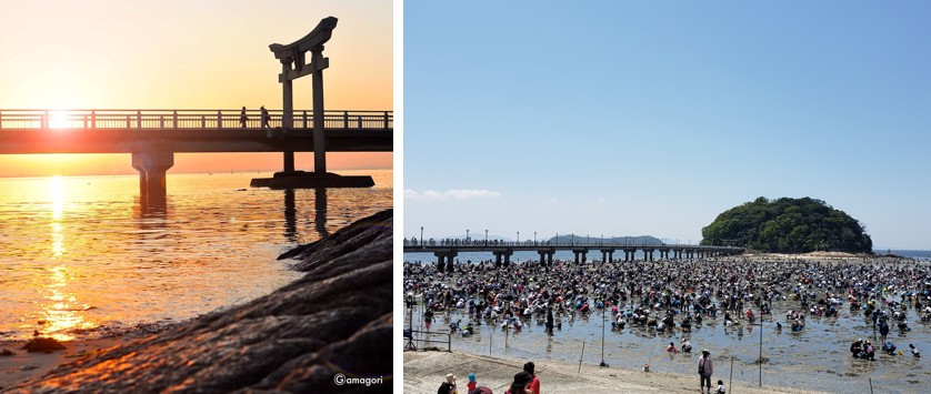 日本最強開運景點〜竹島in愛知縣蒲郡市