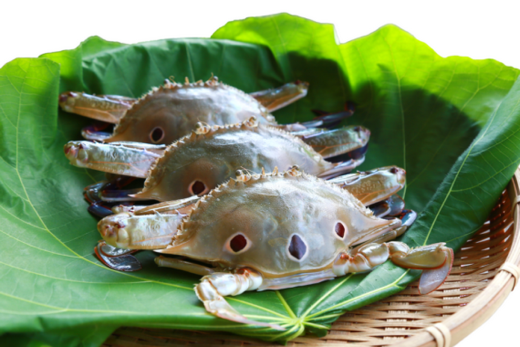 奧丁丁市集當令鮮味推薦-《狠蝦霸》澎湖野生三點蟹