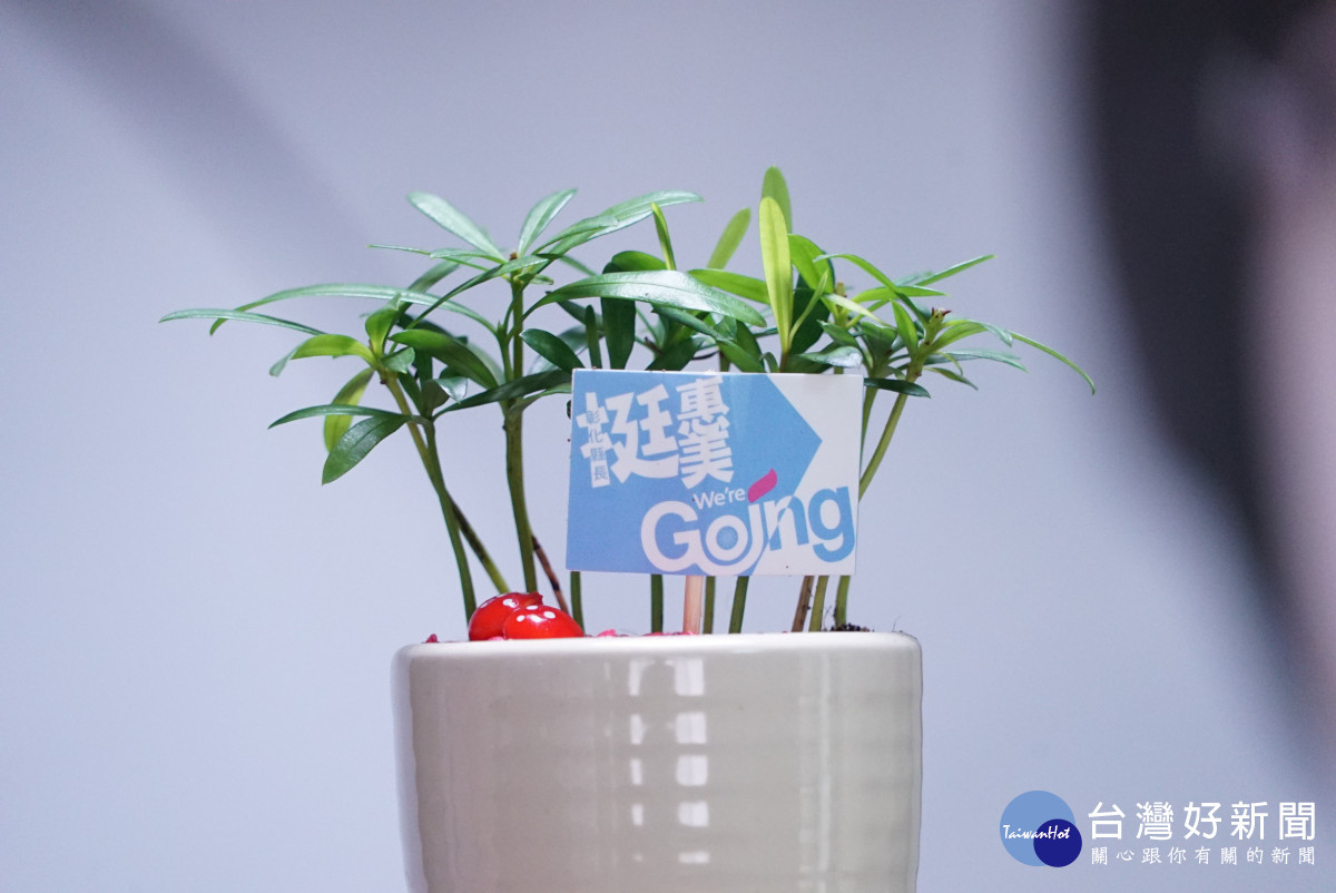 守護希望之樹,王惠美競總發表We’re Going潮T「挺美的!」。圖/記者鄧富珍攝