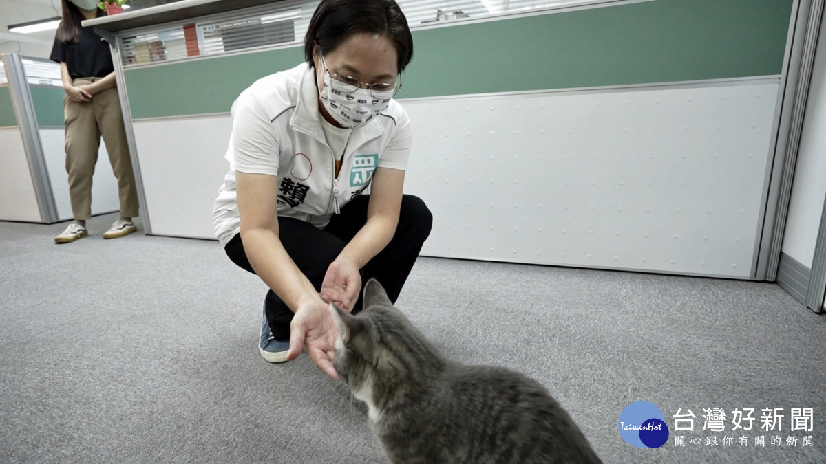 桃園市長候選人賴香伶偕同友善動物傑出獎獲獎人、龜山區市議員候選人簡僑亨、蘆竹區市議員候選人黃國晏一同發布動保政策。<br /><br /> <br /><br /> 