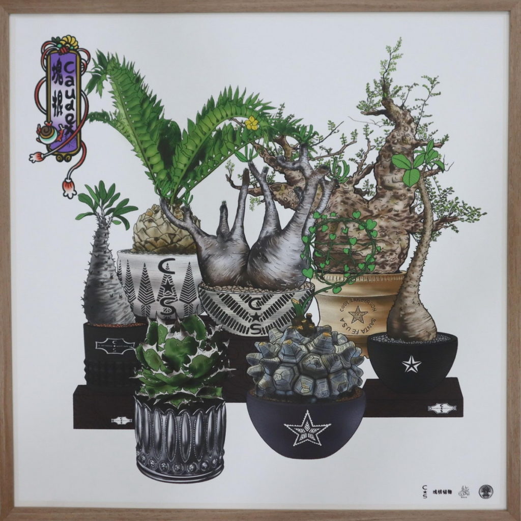 CODY SANDERSON CS品牌盆器與塊根植物畫作(轉印畫布) TWD$18,000