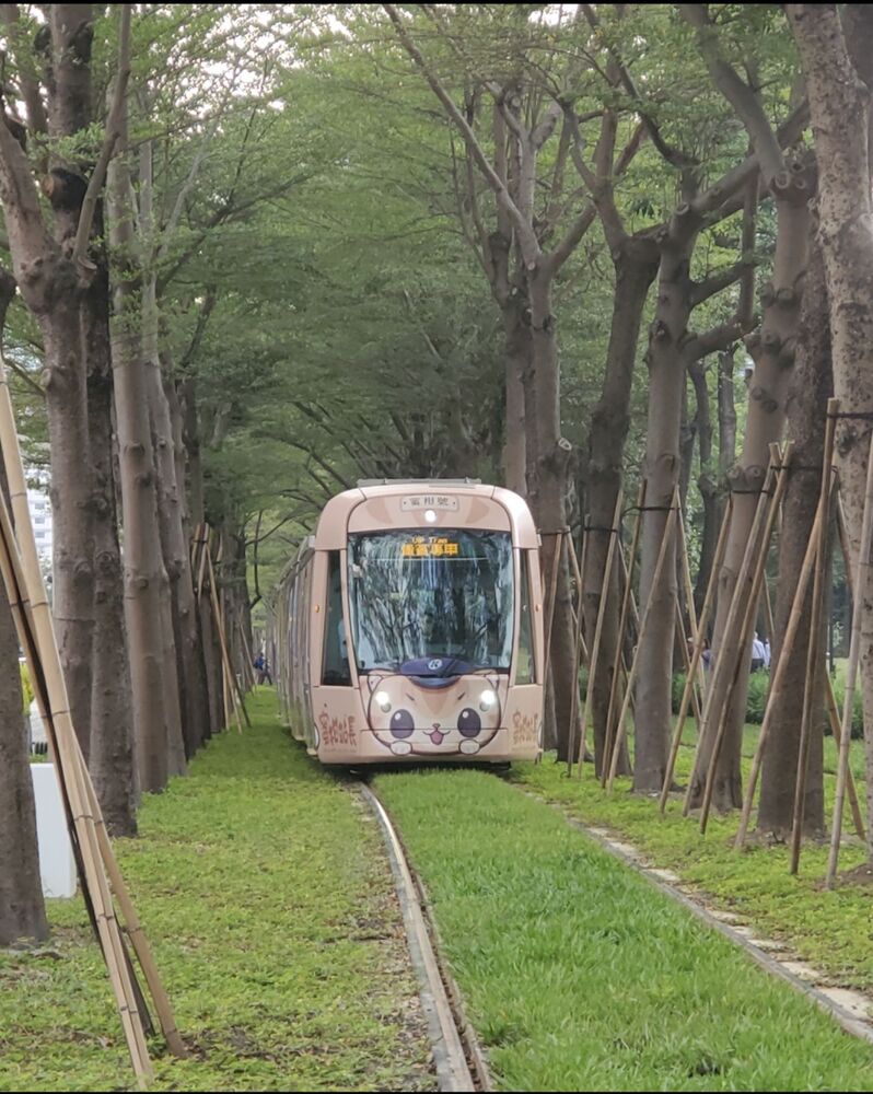 漾新聞|影》高捷輕軌試營運 「蜜瑪連線~歡樂同萌會」彩繪列車駛進龍貓隧道