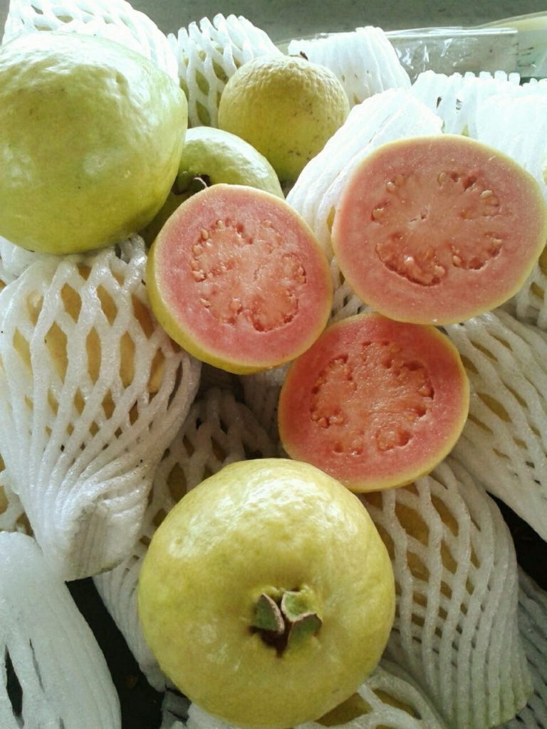 宜蘭當地所盛產的芭樂,反倒是以果肉軟Q作為主打特色