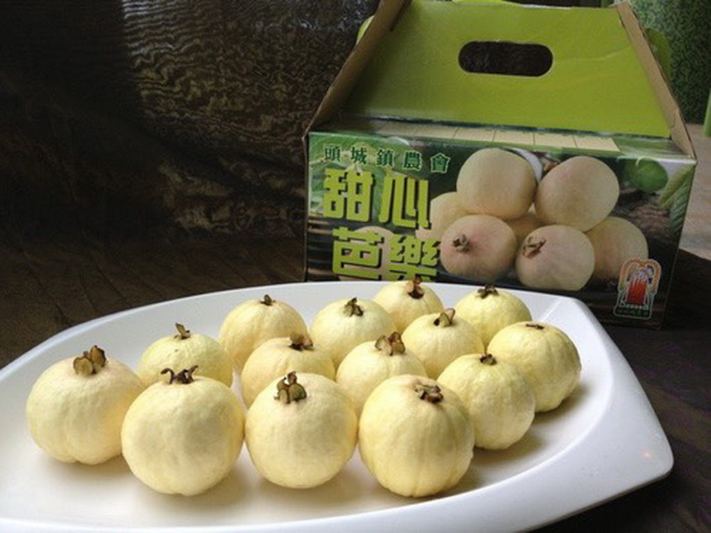 宜蘭縣甜心芭樂暨農特產品