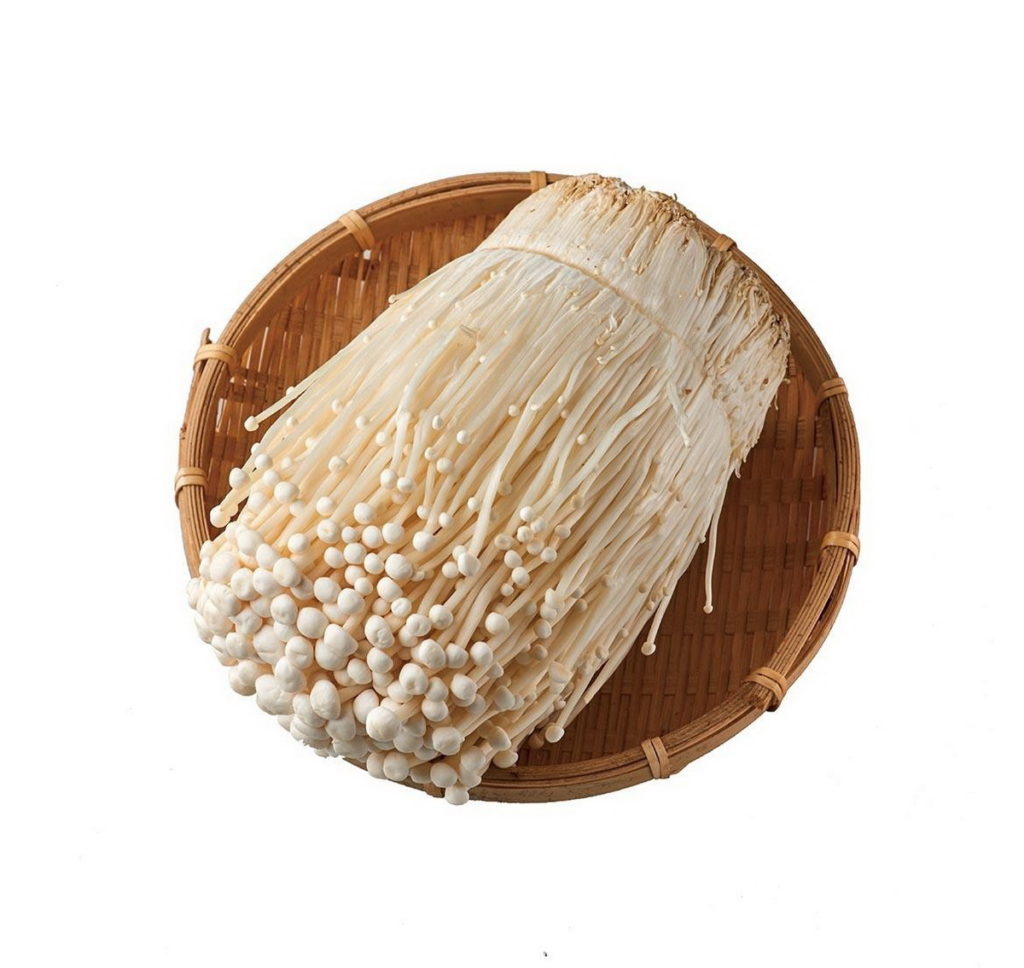 秋祭購物節同步日本品味生活