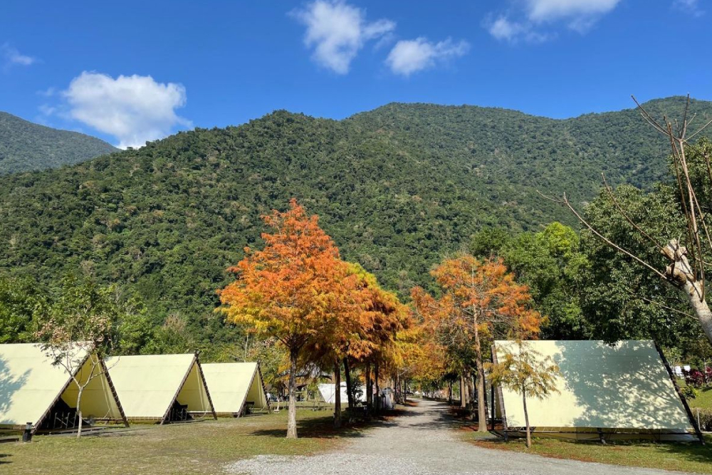 落羽松、雲海美景盡收眼底 奧丁丁揪你推7大特色營地 64 匯流新聞網CNEWS資料照片207221006a03